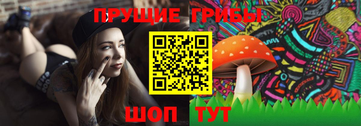 Коркино  Галлюциногенные грибы Psilocybe  где можно купить   Вход с VPN 